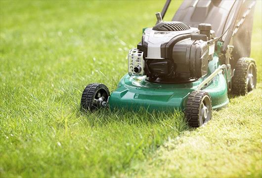 Tondre le gazon